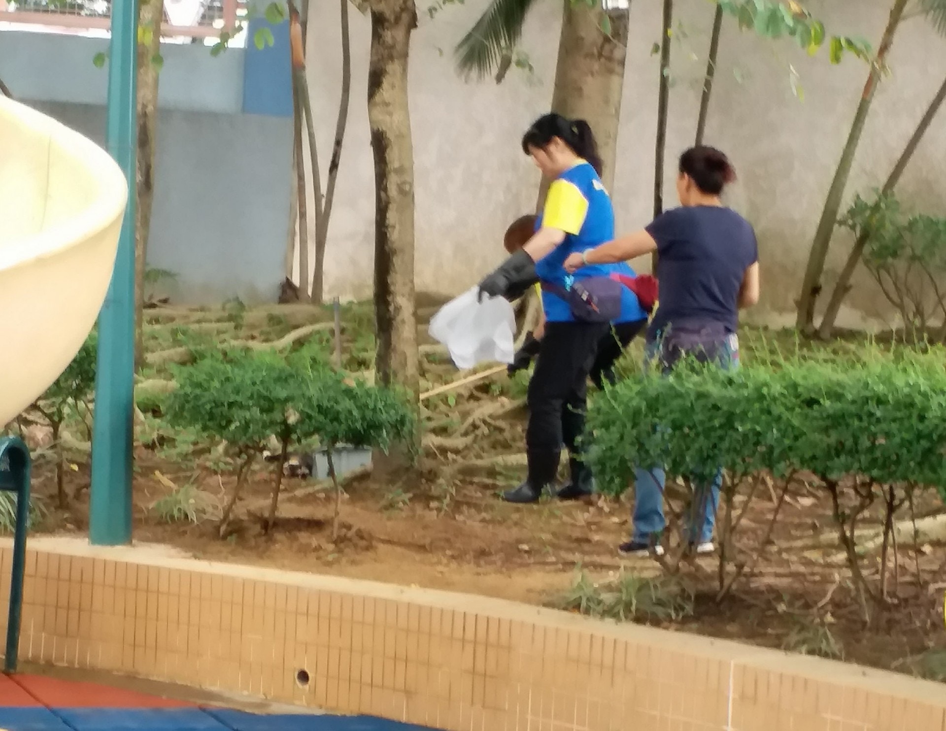 清潔工人隨後到場處理兩隻貓屍。