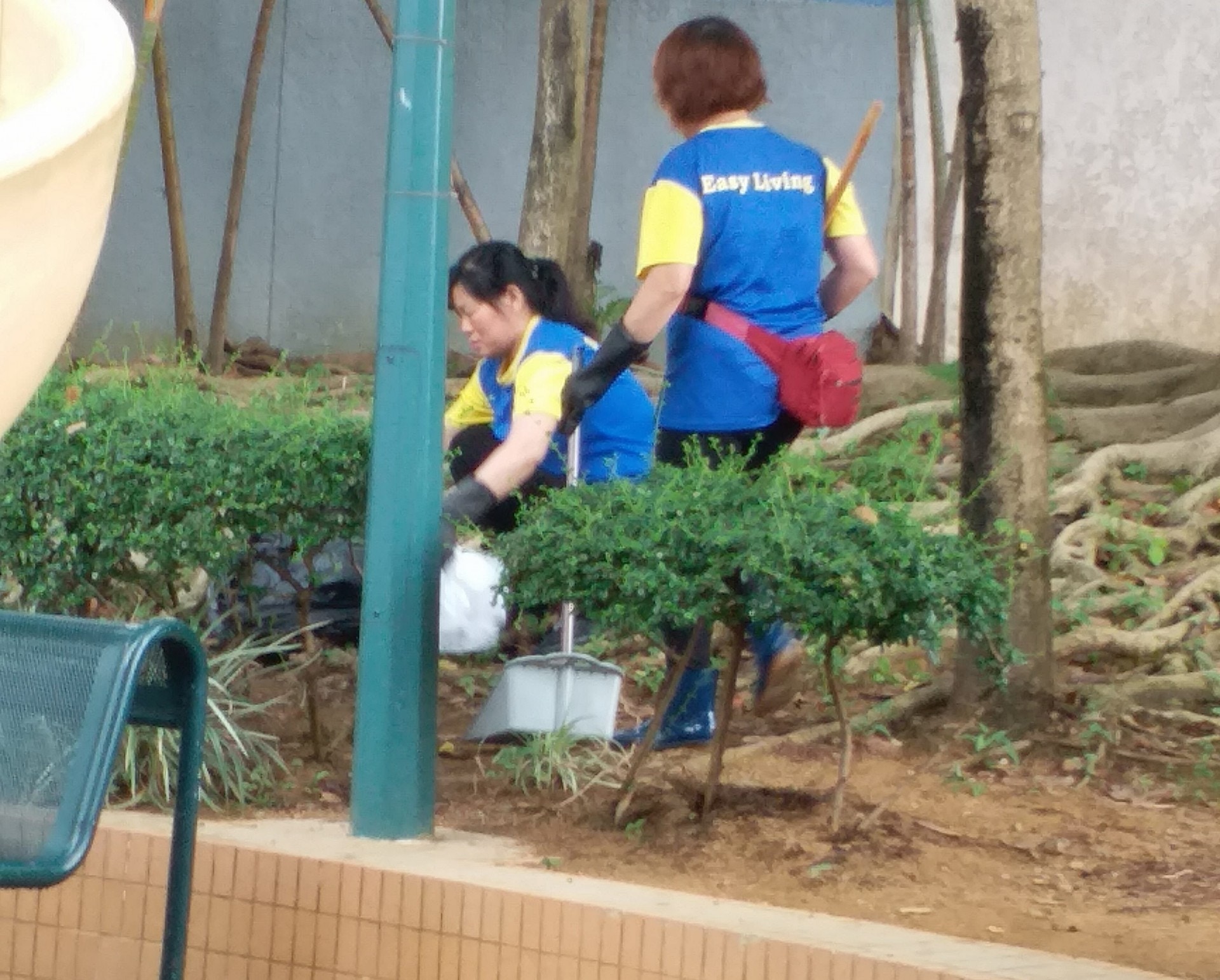 清潔工人隨後到場處理兩隻貓屍。