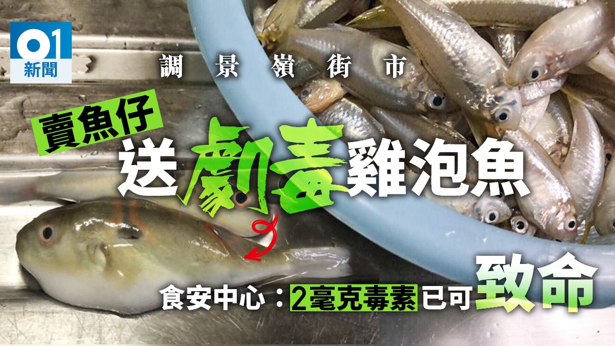 調景嶺街市買魚仔送毒雞泡魚 網民及時發現避過全家中毒 調景嶺街市買魚仔送毒雞泡魚 網民及時發現避過全家中毒