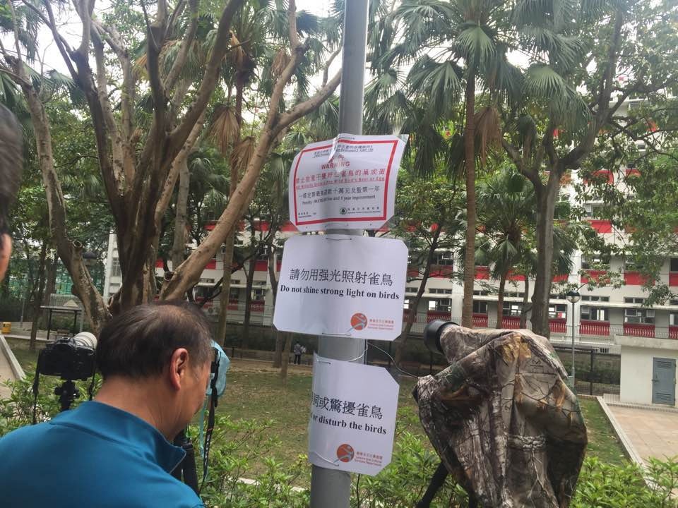 有據本周二有市民以電筒及坐地Led燈照射貓頭鷹後,翌日遊樂場內張貼了告示,提醒市民切勿用強光照射雀鳥。(陳晶琦攝)