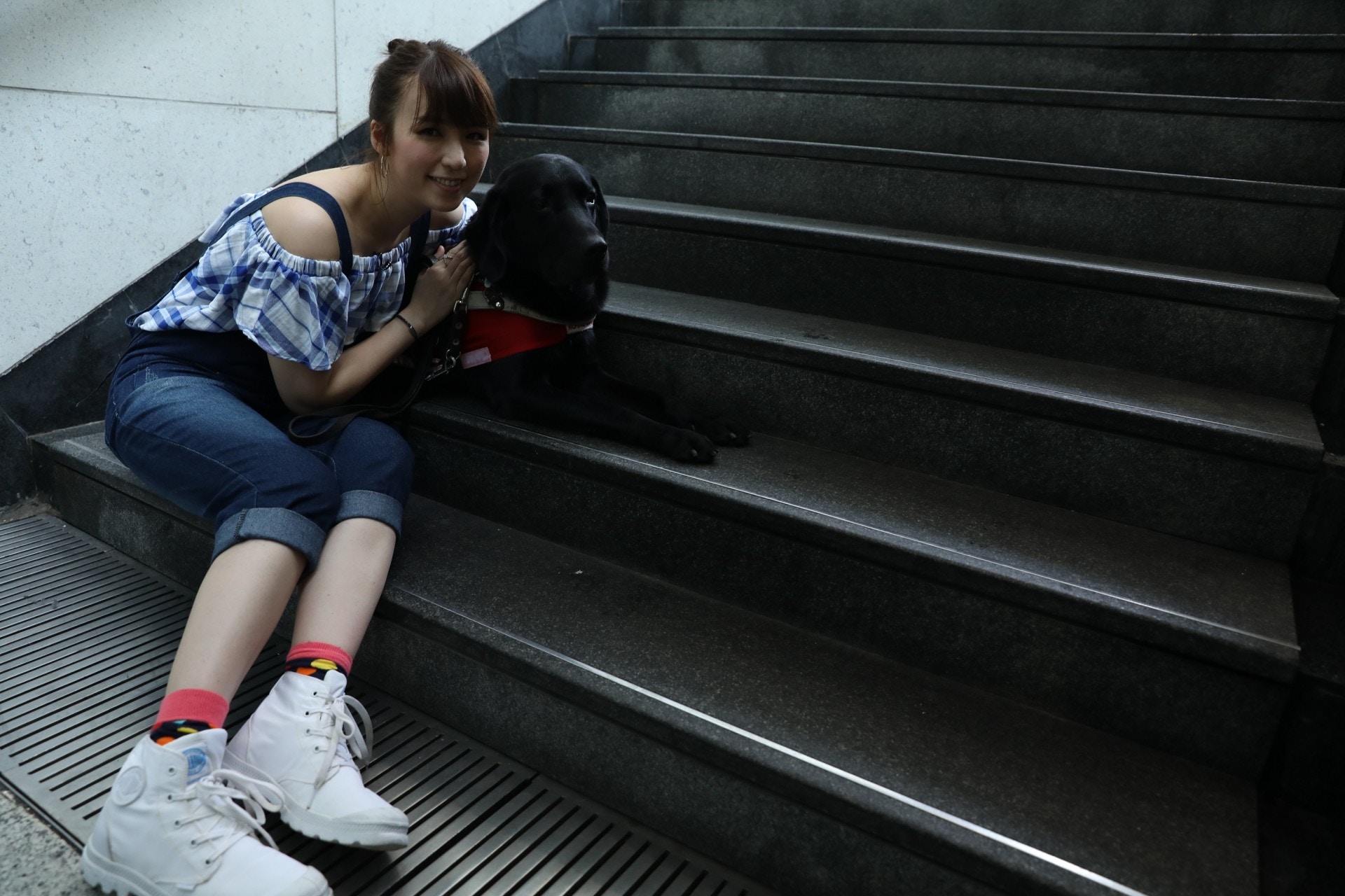 Tovi就像視障人士的眼睛,為他們避開障礙物及尋找目標物。(周詠雯攝)