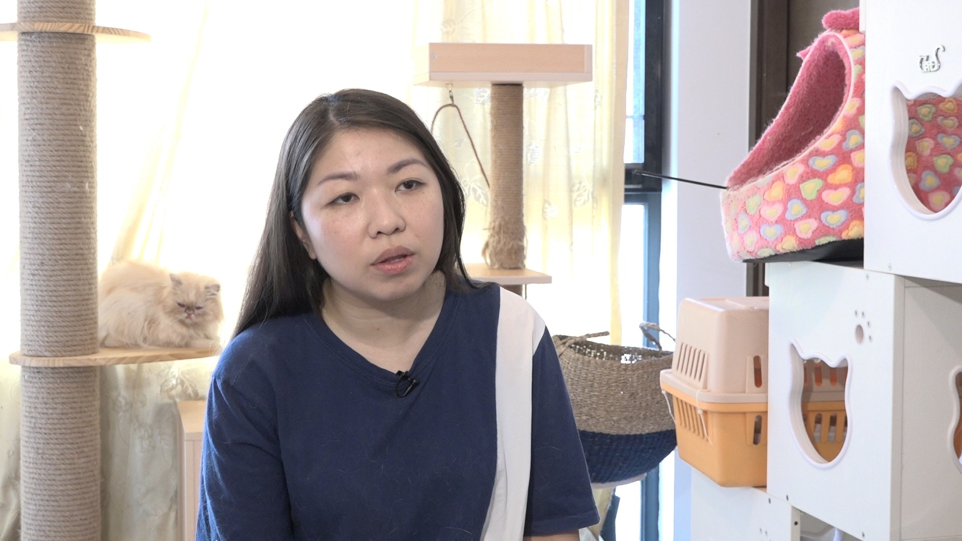 Aster慨嘆有人不斷殘害及遺棄貓狗。(鄧穎韜攝)