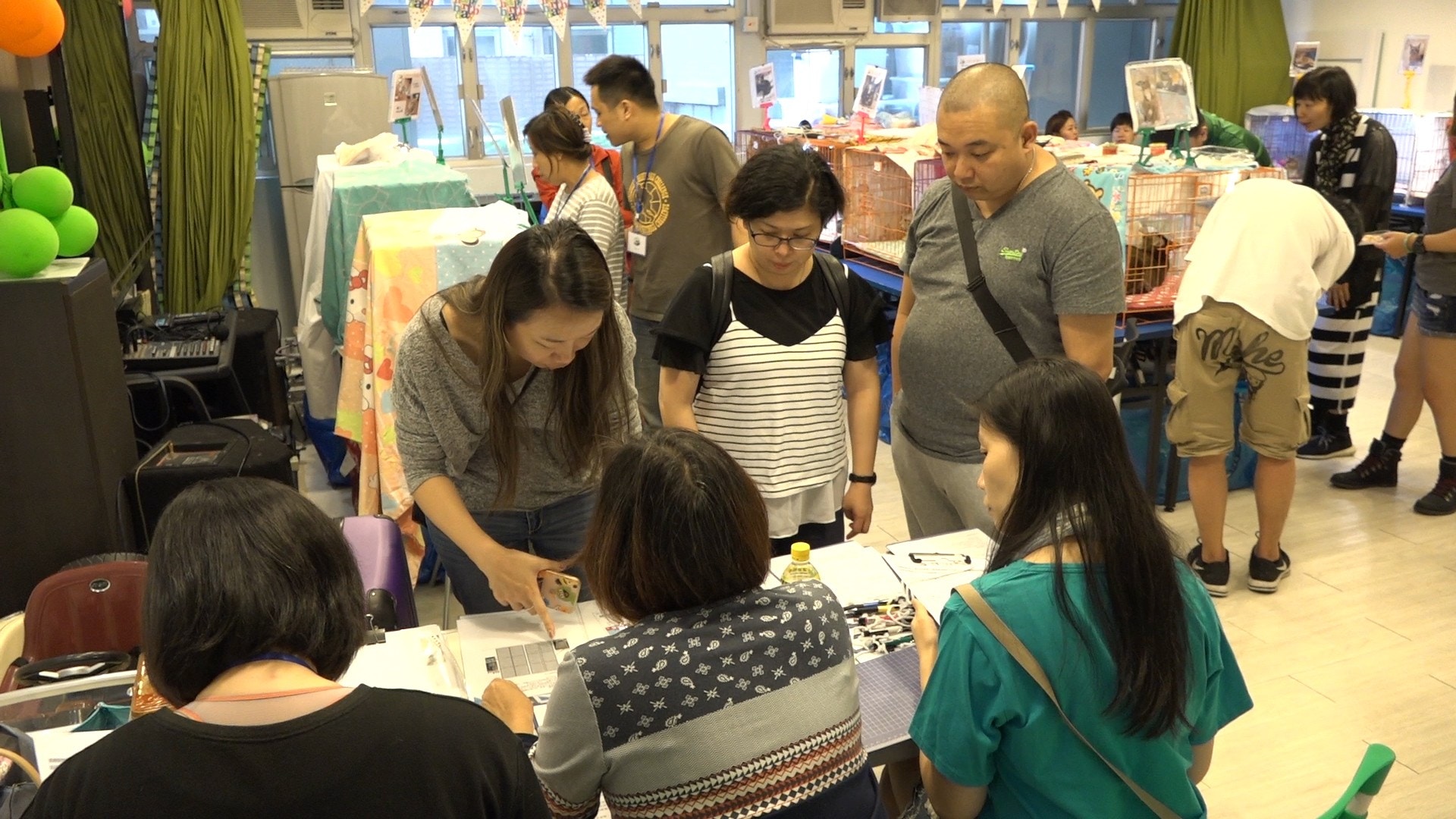 「期待回家領養平台」每月舉辦2至3次貓貓領養日。(王海圖攝)
