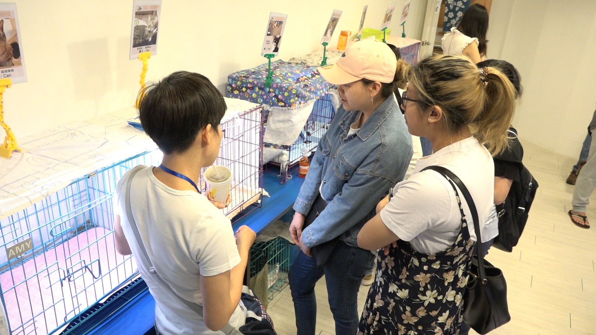 Aster為貓貓「製作履歷表」後,的確多了人領養貓咪。(王海圖攝)