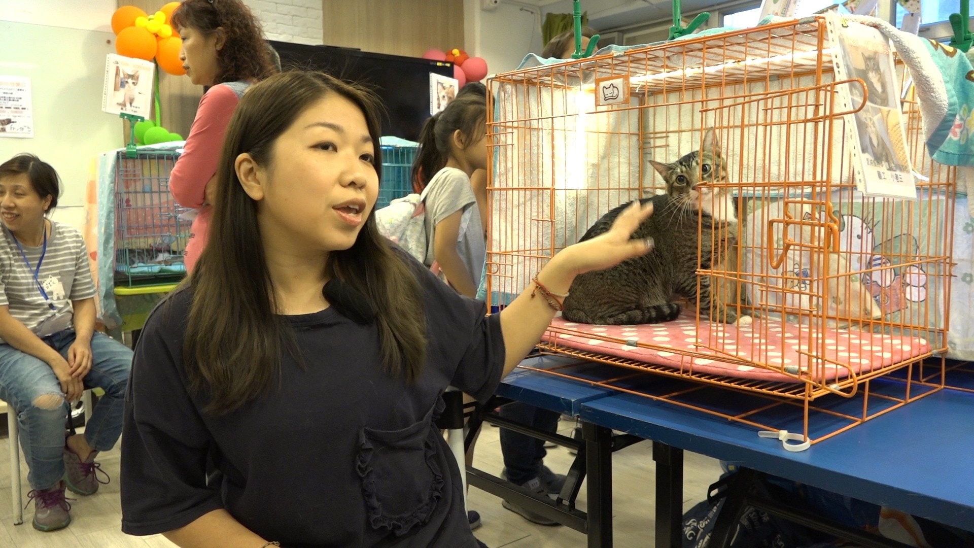 Aster希望有更多人領養代替購買外,更盼望人類不要棄養動物。(王海圖攝)