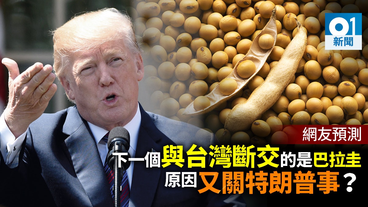 大陸網友預測巴拉圭為向大陸直接出口大豆 將成下個和台斷交國家 大陸網友預測巴拉圭為向大陸直接出口大豆 將成下個和台斷交國家