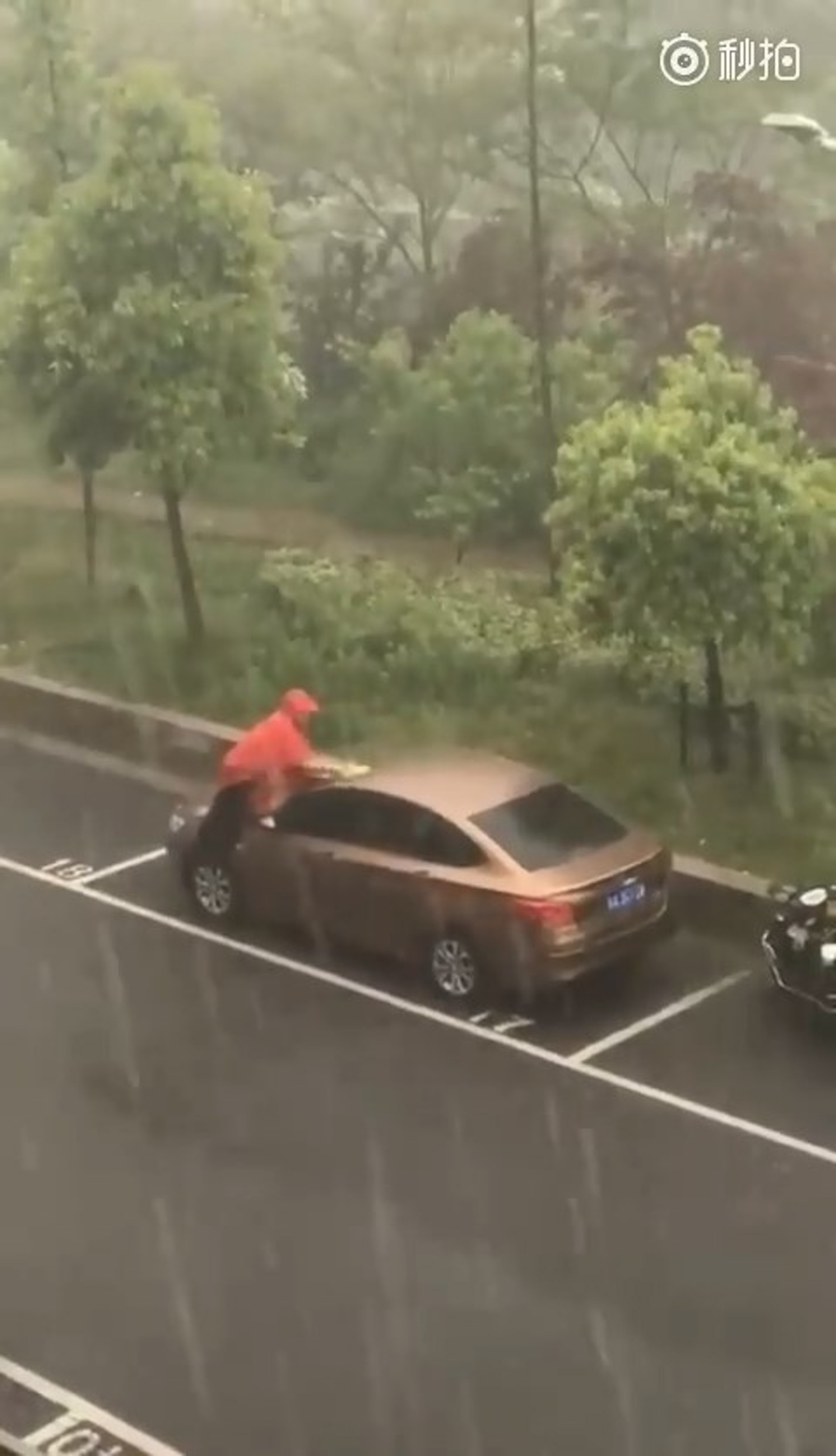 從短片可見,有人在大雨中洗車,使網民感到十分神奇。(微博短片截圖) 從短片可見,有人在大雨中洗車,使網民感到十分神奇。(微博短片截圖)