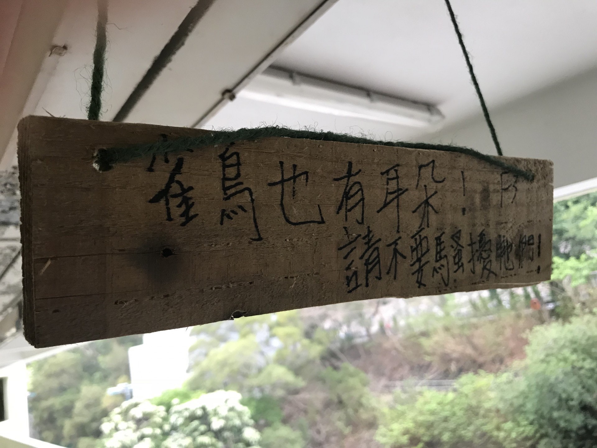天虹小學近日校內的走廊位置,出現了一個鳥巢及兩隻鳥蛋,師生商議後,決定再在巢下加上環保物料盛著鳥糞,又掛上告示牌,希望同學經過時保持安靜。(鄧穎琳攝)