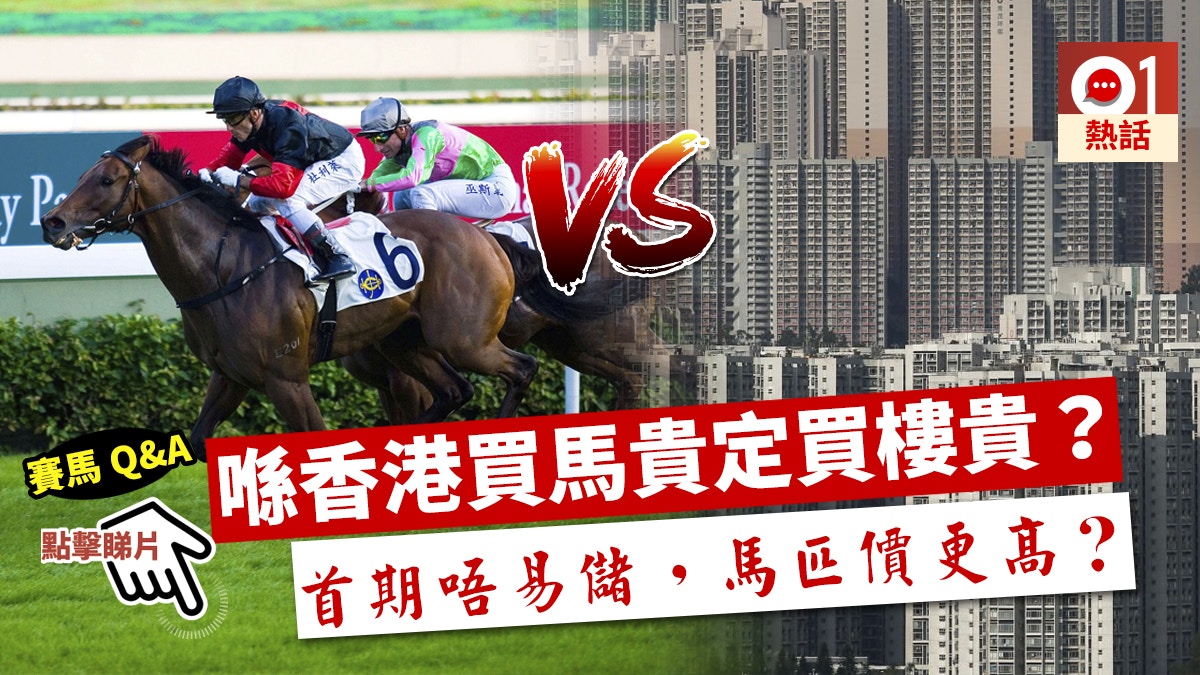 賽馬q A 養馬篇 馬路騎馬真係得 運輸署道路守則原來有提過