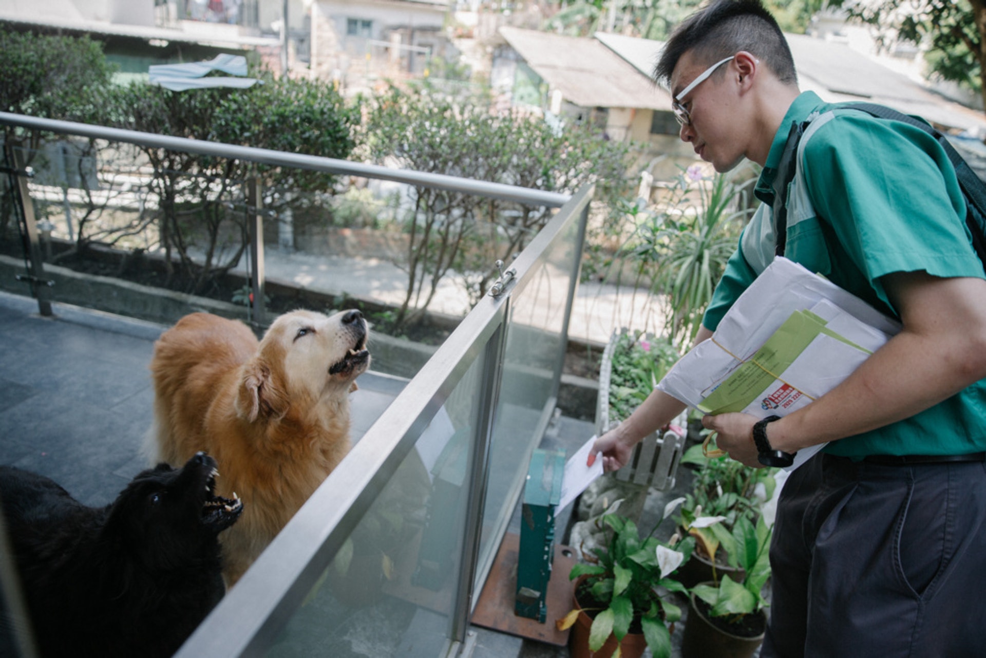 阿杰主要負責火炭落路下村及駿景園等路段,以沙田火炭落路下村為例,約有200個單位,平均每5戶就有養狗。(梁鵬威攝) 阿杰主要負責火炭落路下村及駿景園等路段,以沙田火炭落路下村為例,約有200個單位,平均每5戶就有養狗。(梁鵬威攝)