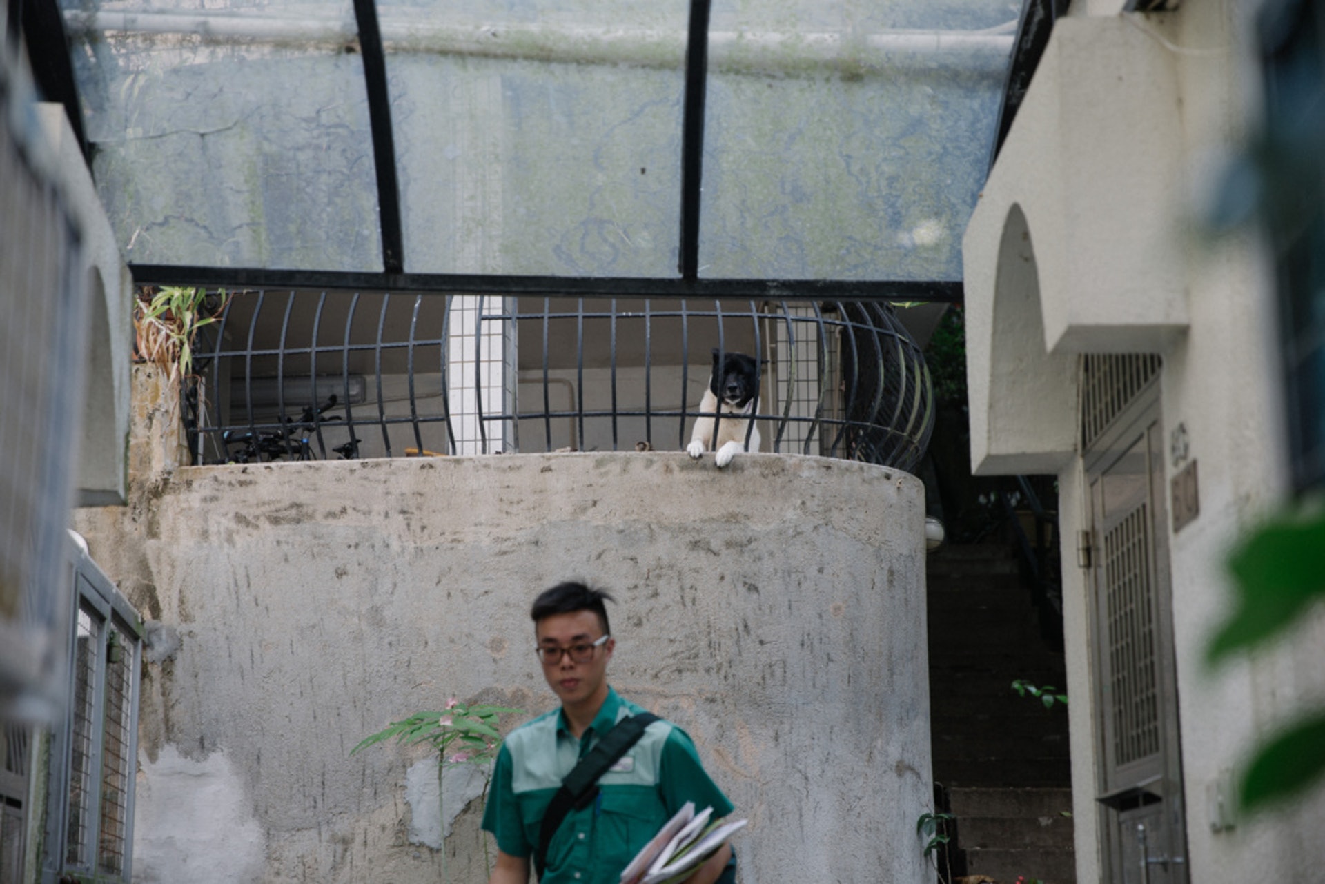 (梁鵬威攝) (梁鵬威攝)