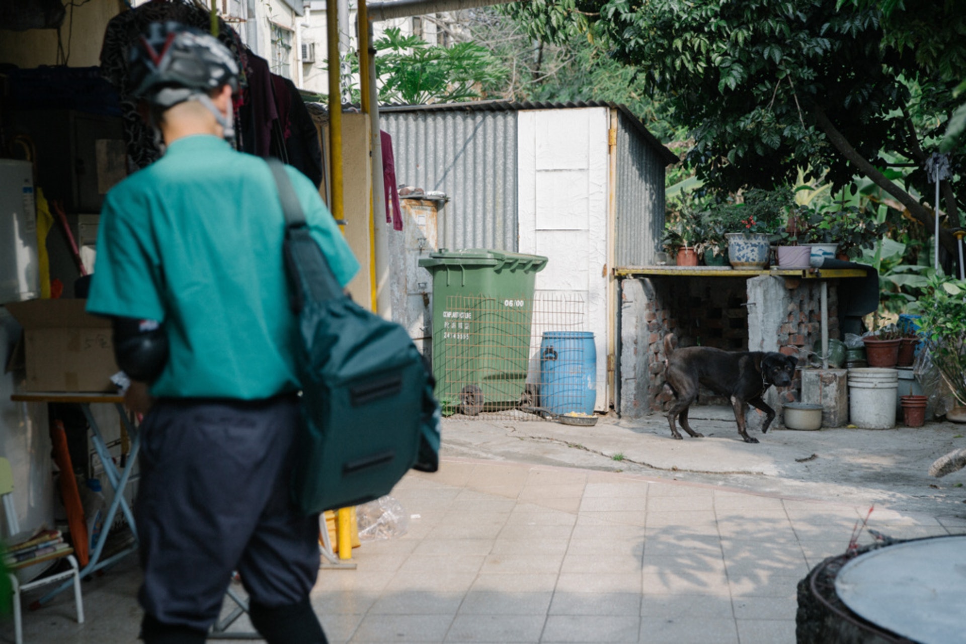 邱晉朗負責元朗厦村、馬田村的派信工作,也會經常遇到狗隻。(梁鵬威攝) 邱晉朗負責元朗厦村、馬田村的派信工作,也會經常遇到狗隻。(梁鵬威攝)