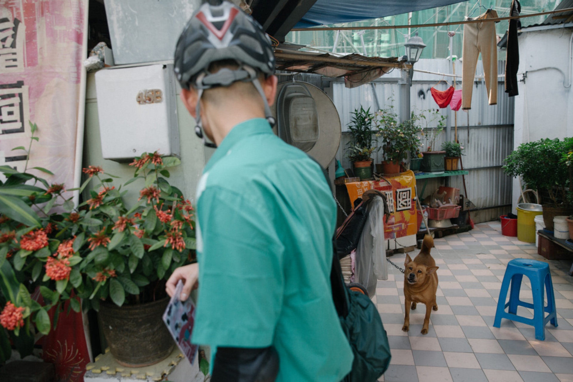 (梁鵬威攝) (梁鵬威攝)