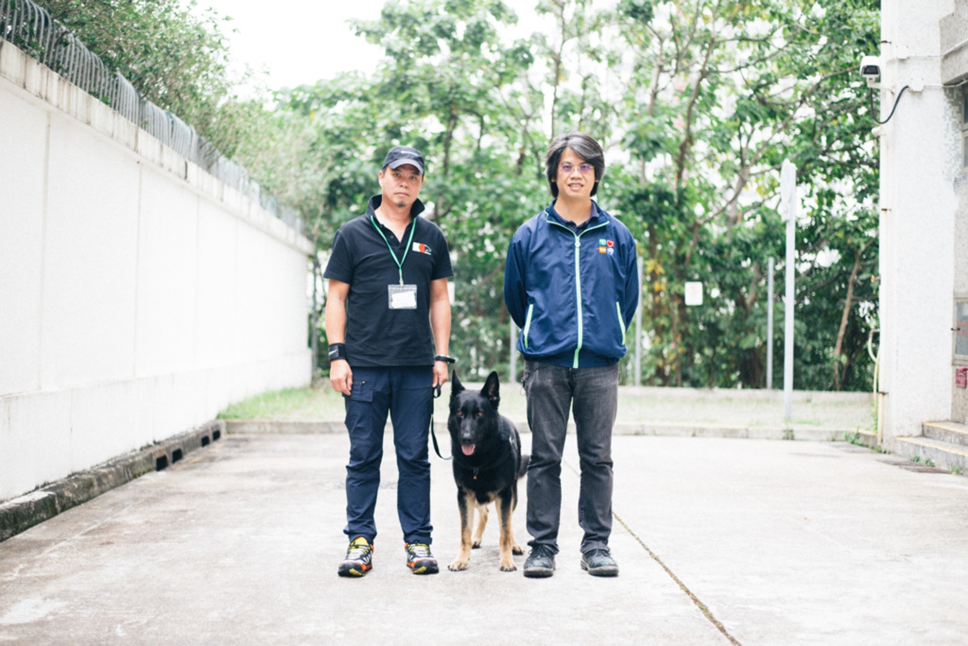 郵政與職業安全健康局向前線郵差提供「如何避免在工作中被狗隻咬傷」課程,向郵差教授預防被狗咬的知識等。(梁鵬威攝) 郵政與職業安全健康局向前線郵差提供「如何避免在工作中被狗隻咬傷」課程,向郵差教授預防被狗咬的知識等。(梁鵬威攝)