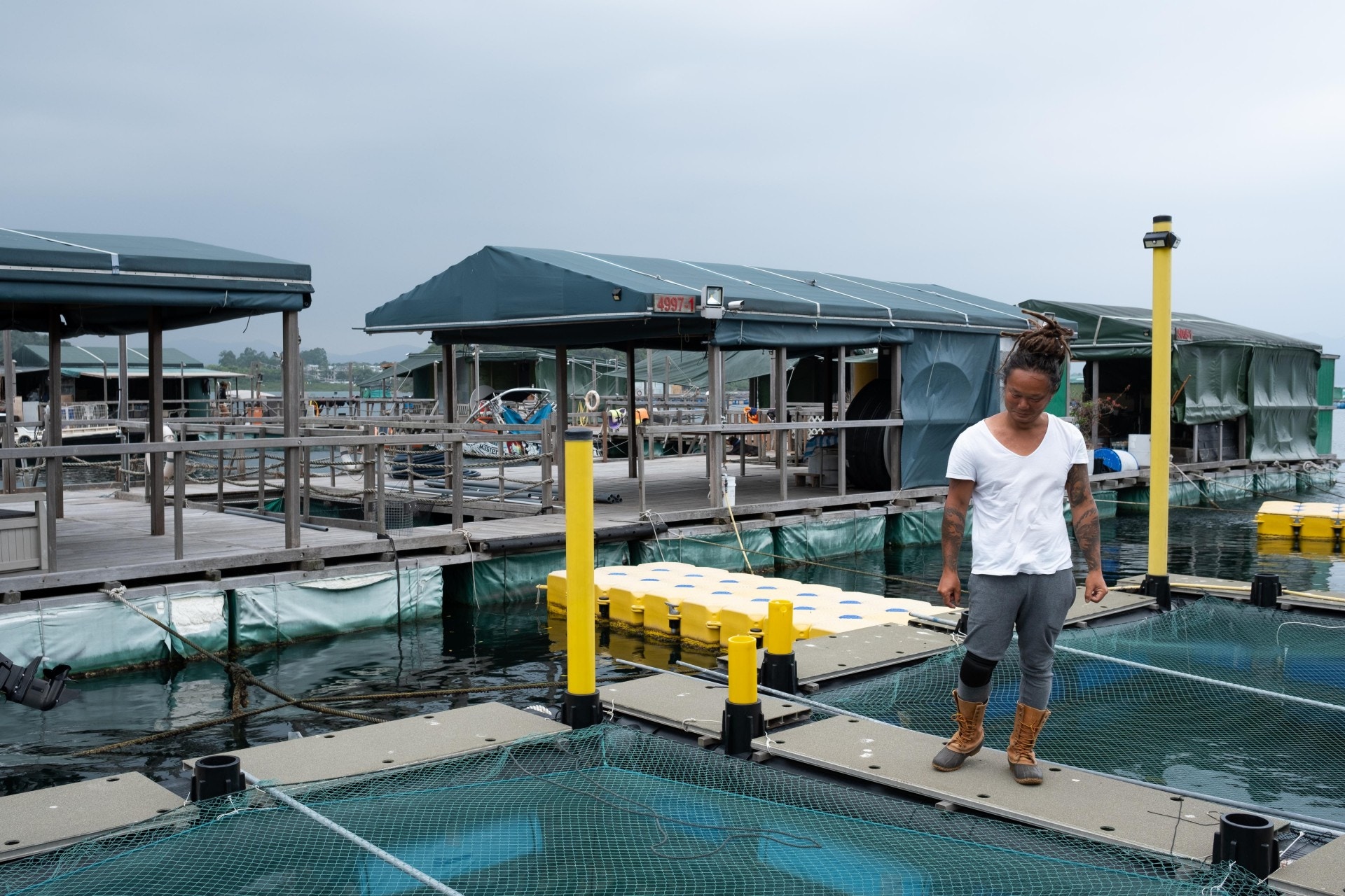 「一開始直頭冇諗過要養魚，只係想滑水架咋！」來到現在，仟國水產已經是全香港最多種類的養殖場。