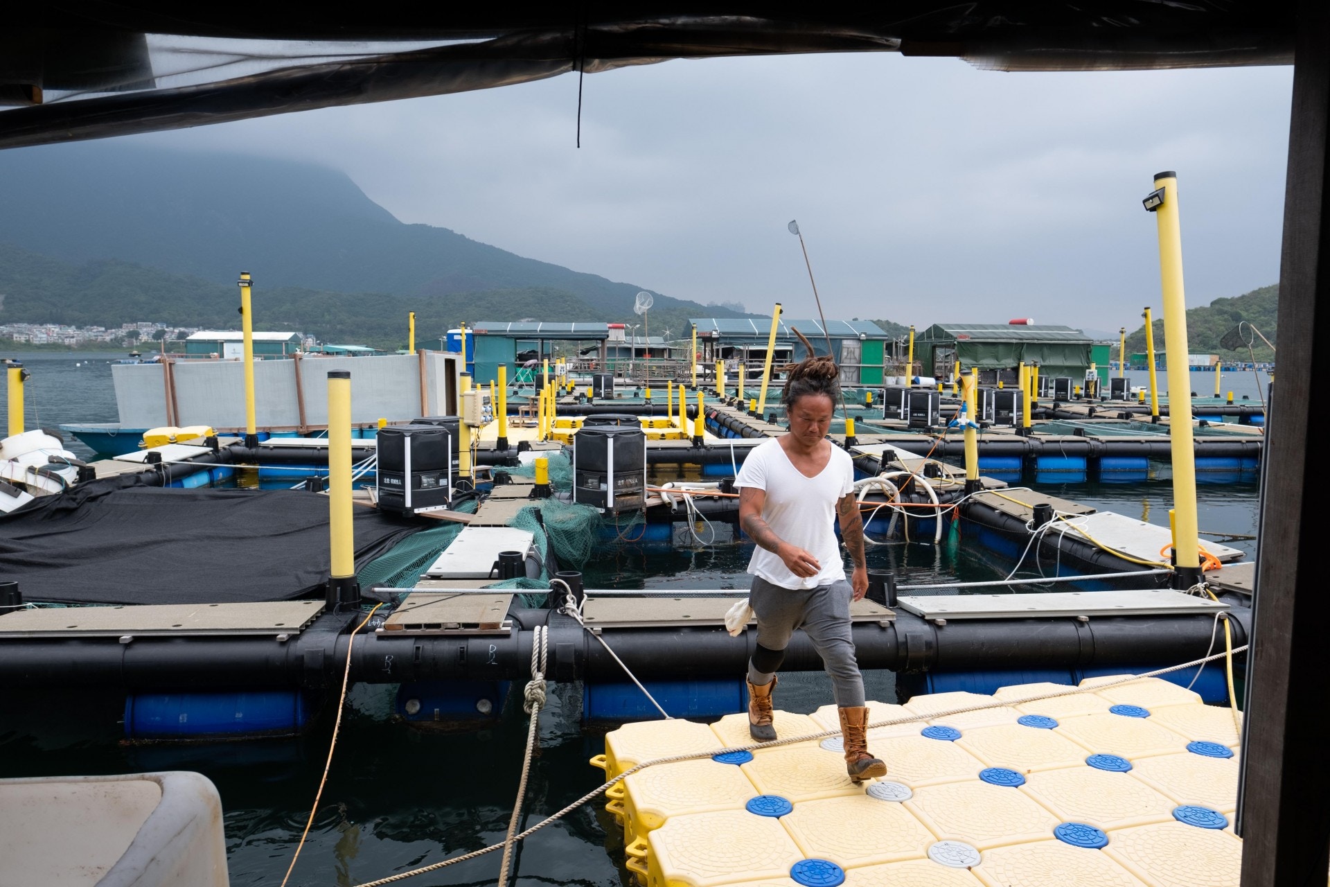 「我一開始已經想清楚，我不賣活魚，因為限期太短。我不賣給魚欄，要在外面自己找買家。」