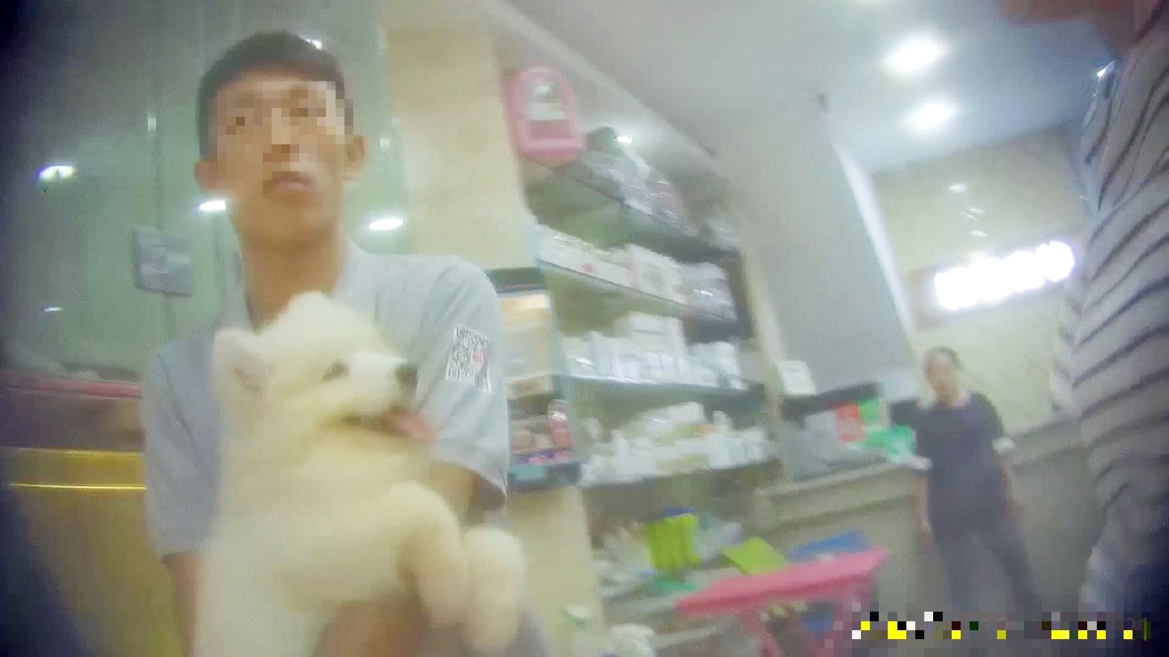 深圳有多間寵物店聲稱可將狗隻運送到香港。(香港01記者攝)