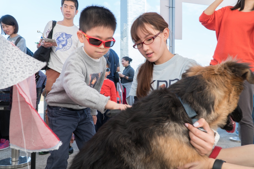 Eva認為全港狗場若只賣154隻狗,單看數字是不尋常的。(資料圖片/鍾偉德攝)