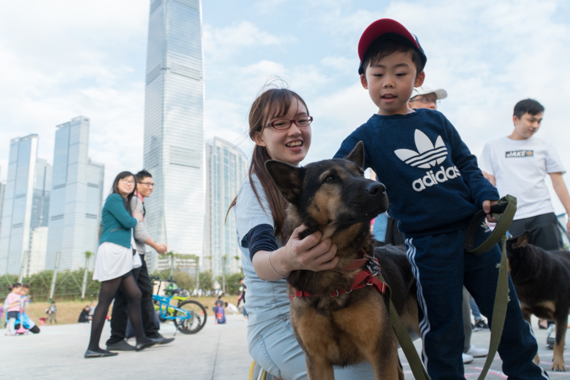 救狗之家的Eva指有非法繁殖場在修例繼續運作,期望準狗主可以領養代替購買。(資料圖片)