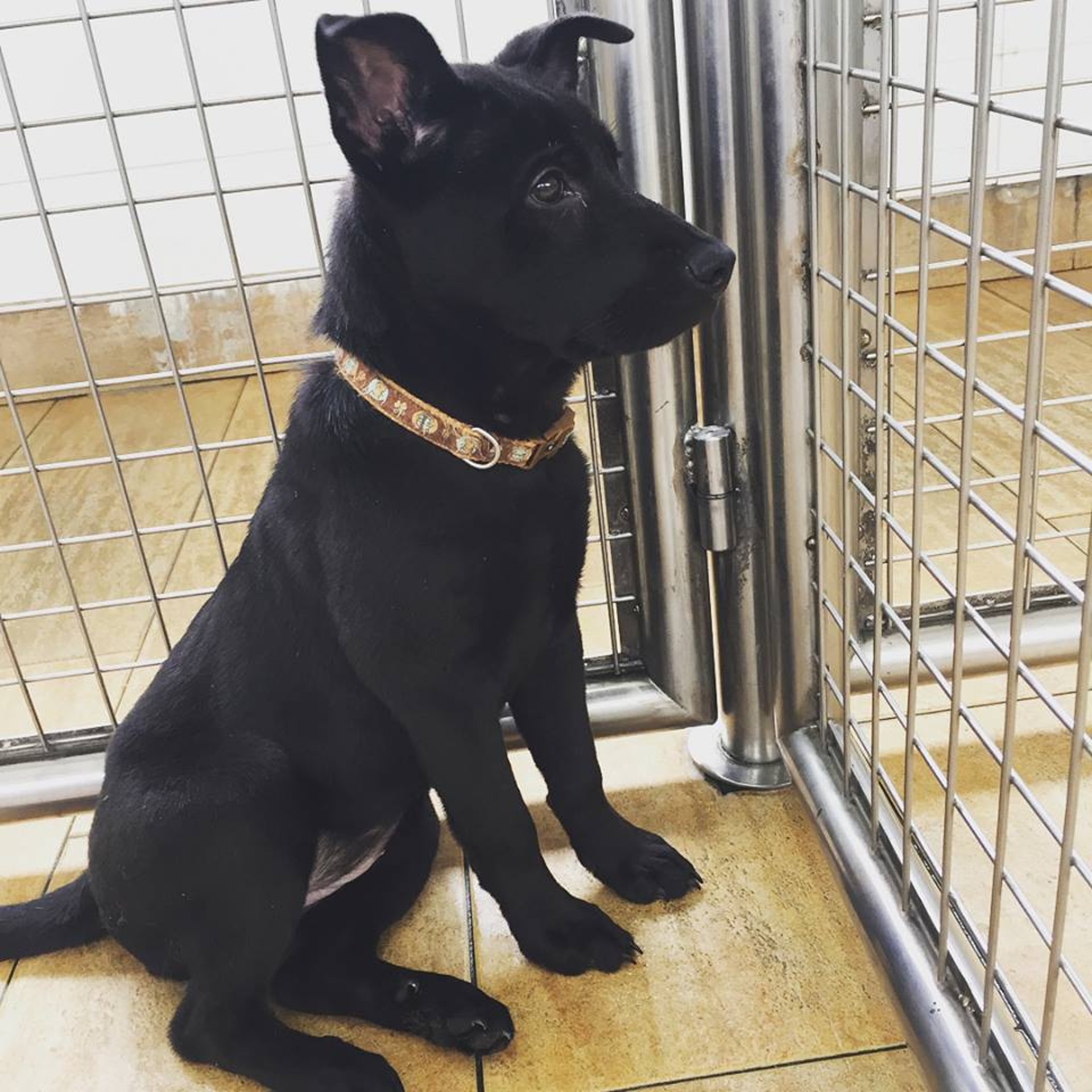 愛協回覆時稱當中涉及誤會,冀與當事人進一步聯絡,解開誤會。(受訪者提供) 愛協回覆時稱當中涉及誤會,冀與當事人進一步聯絡,解開誤會。(受訪者提供)