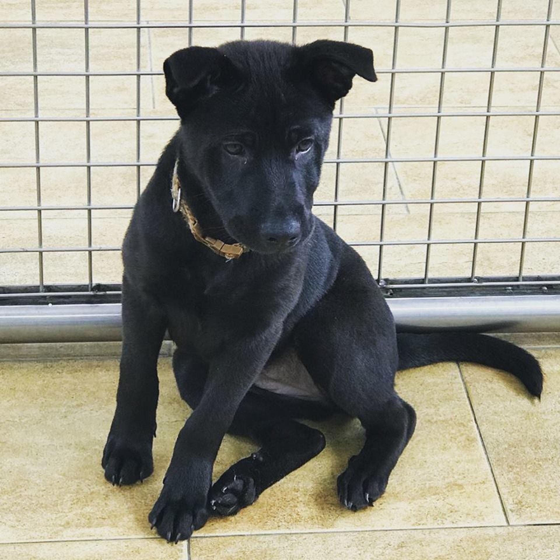 (受訪者提供) (受訪者提供)