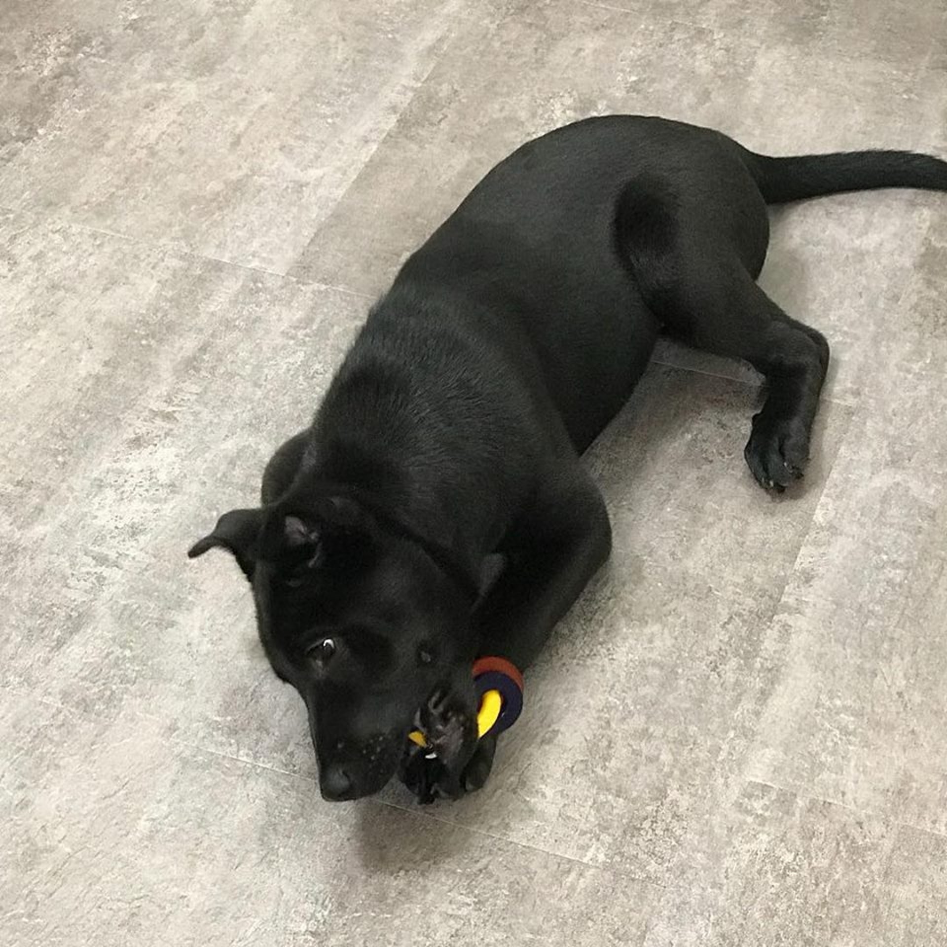 (受訪者提供) (受訪者提供)