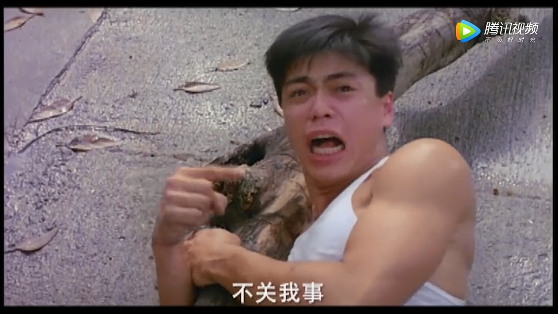 (網上截圖)