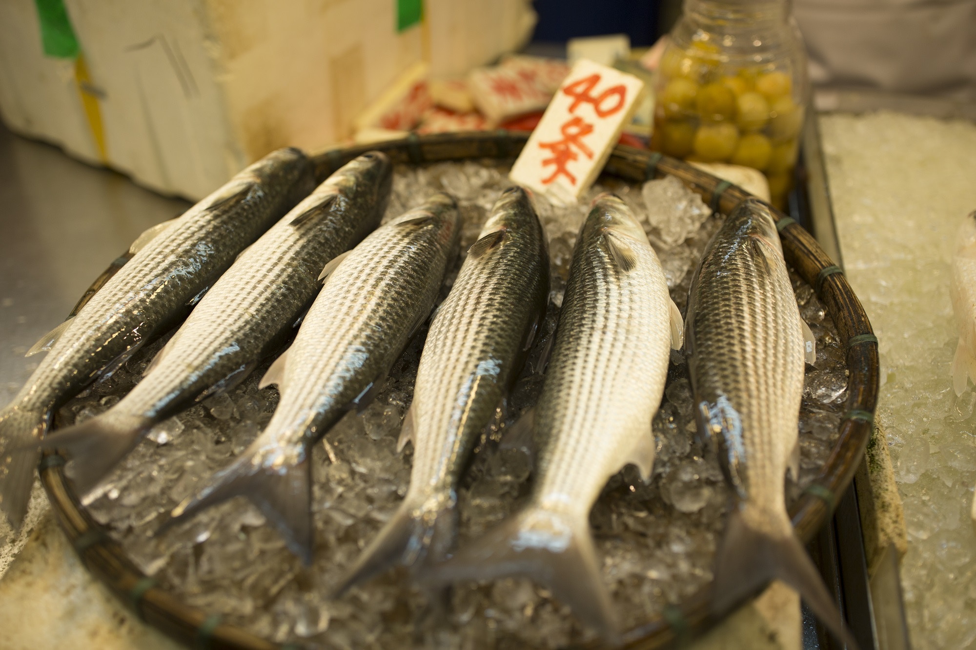本港海域發現磨砂膠粒　環團：170種海洋生物曾吞膠