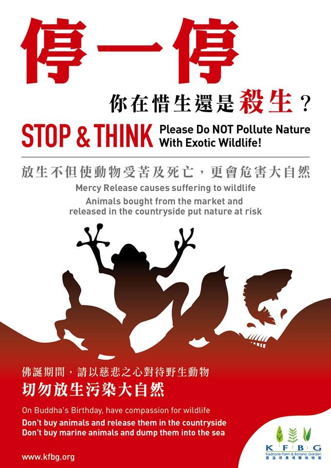 嘉道理農場近日已在面書呼籲公眾反思「放生」行為。( 嘉道理農場暨植物園Facebook專頁)