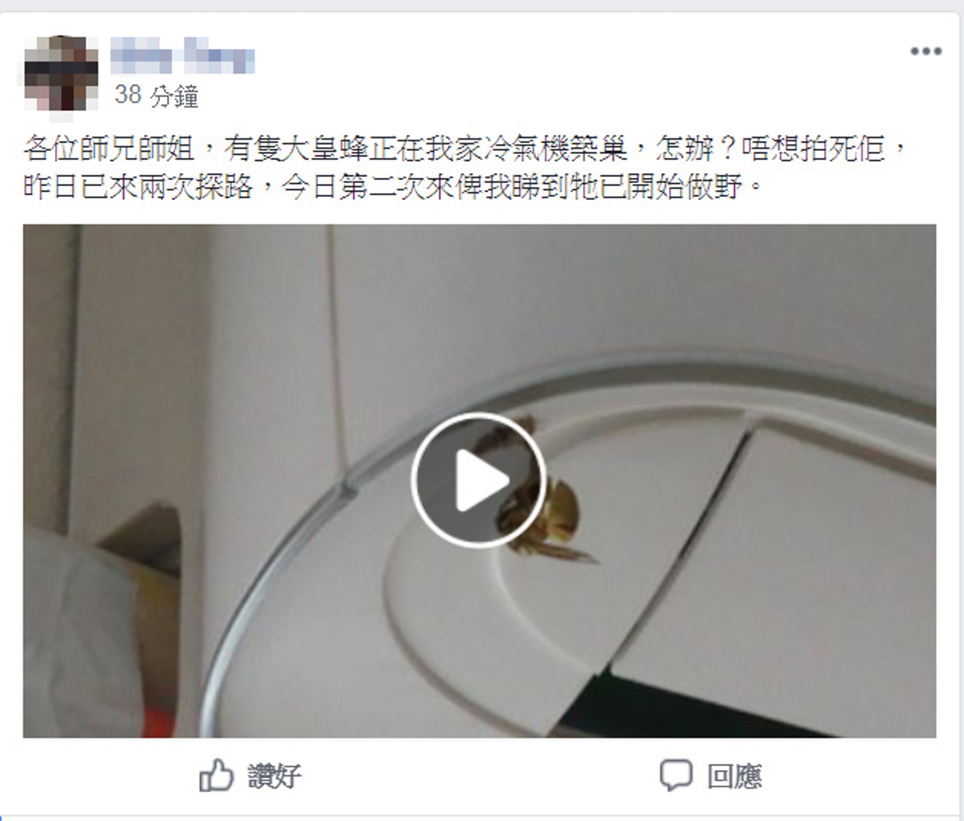 有網民在facebook群組「香港行山遠足之友(吹水山谷)」分享短片,指一隻蜂類正在家中的冷氣機築巢。(fb「香港行山遠足之友(吹水山谷)」截圖) 有網民在facebook群組「香港行山遠足之友(吹水山谷)」分享短片,指一隻蜂類正在家中的冷氣機築巢。(fb「香港行山遠足之友(吹水山谷)」截圖)