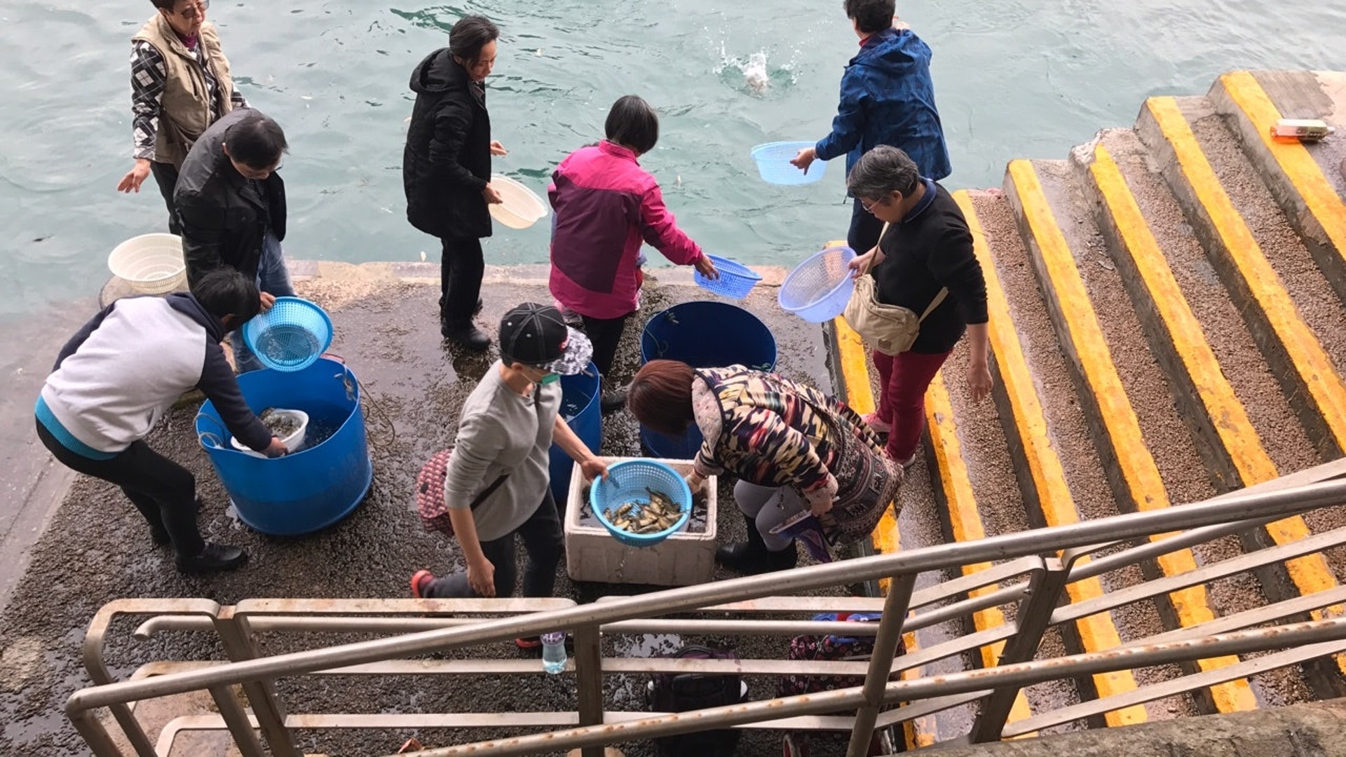 不時有巿民在海邊做放生活動,但許多生物被放生後仍難逃劫數。(資料圖片)