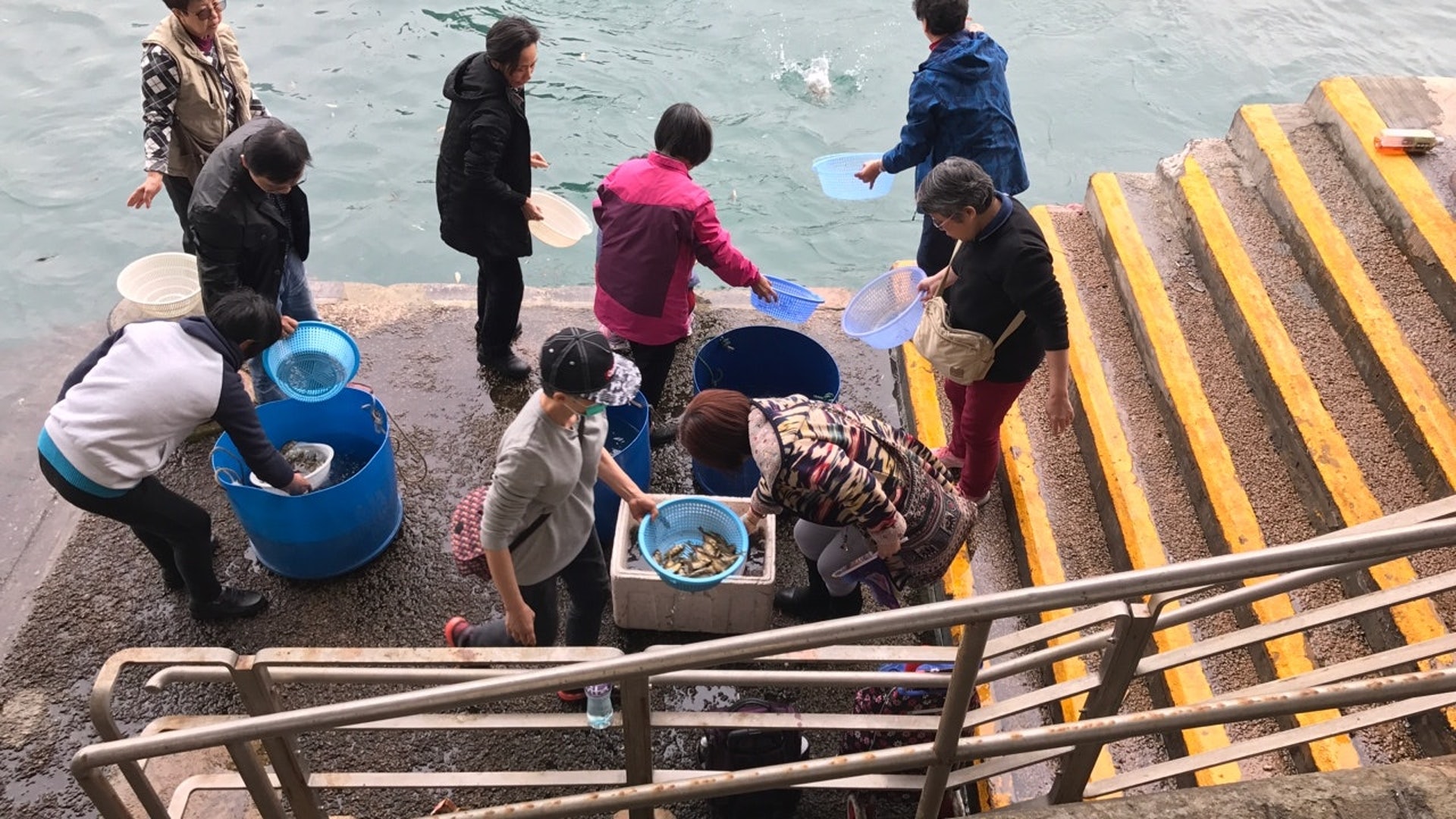 不時有巿民在海邊做放生活動，但許多生物被放生後仍難逃劫數。（資料圖片）