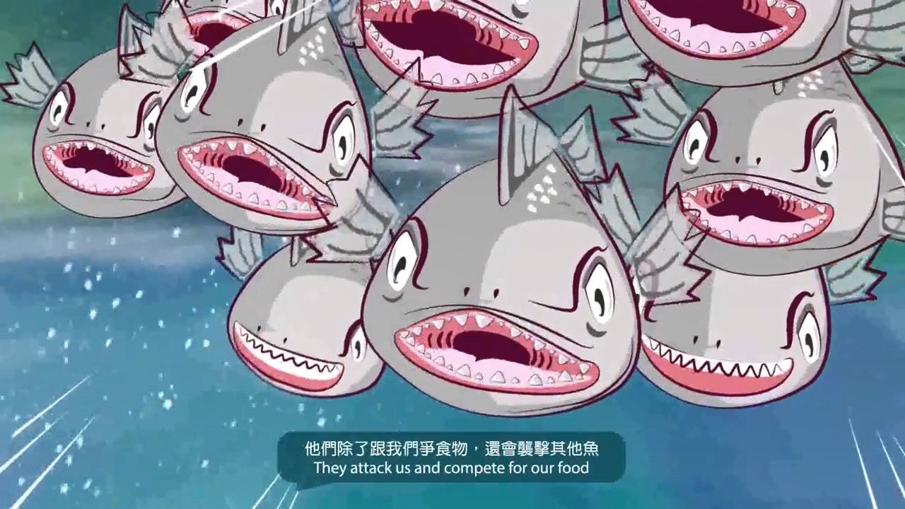 漁護署日前於其Facebook專頁發布動畫短片,呼籲市民放生前「停一停、諗一諗」。(漁護署fb片段截圖)