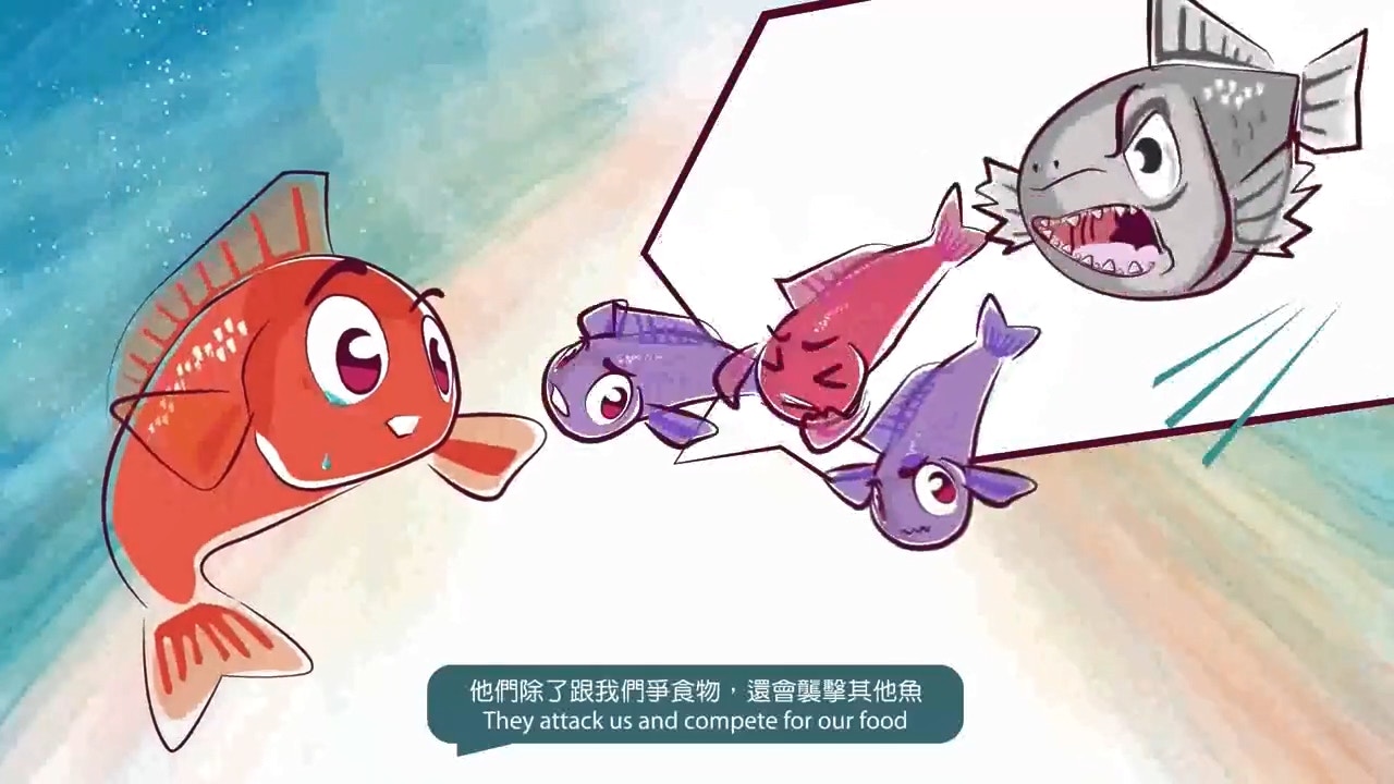 漁護署日前於其Facebook專頁發布動畫短片,呼籲市民放生前「停一停、諗一諗」。(漁護署fb片段截圖)