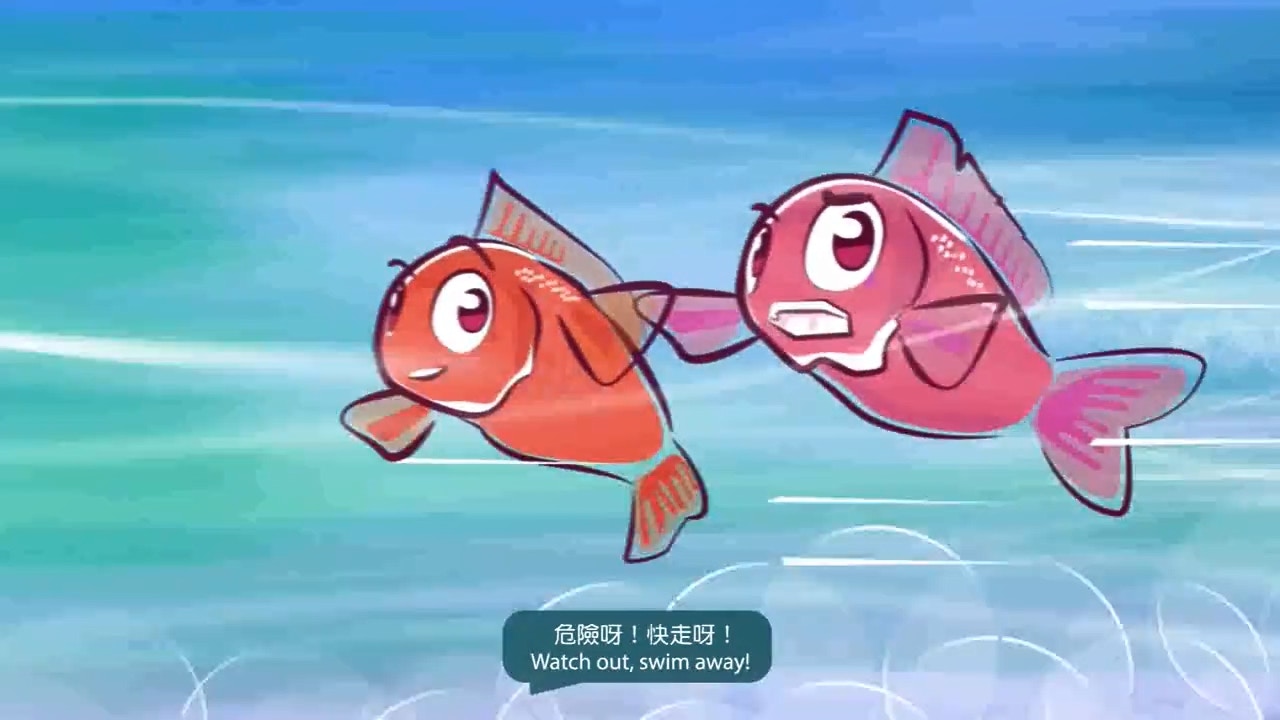 漁護署日前於其Facebook專頁發布動畫短片,呼籲市民放生前「停一停、諗一諗」。(漁護署fb片段截圖)