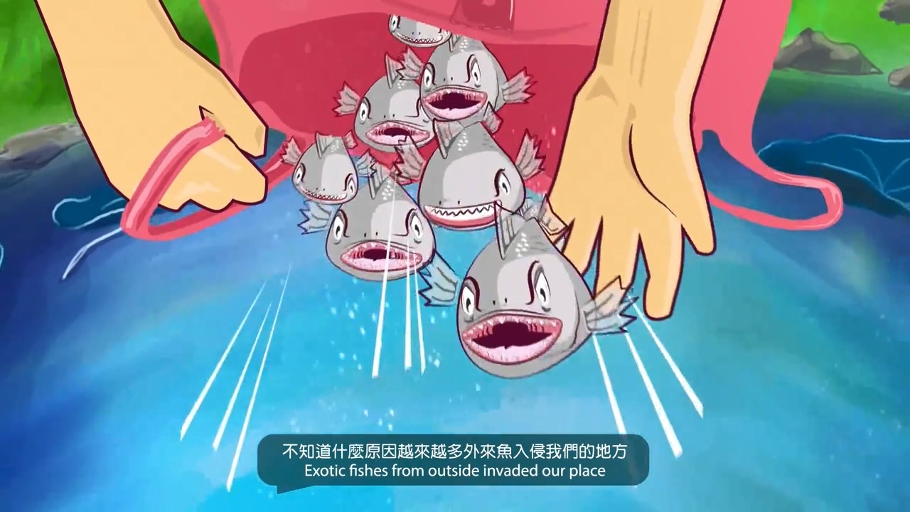 漁護署日前於其Facebook專頁發布動畫短片,呼籲市民放生前「停一停、諗一諗」。(漁護署fb片段截圖)