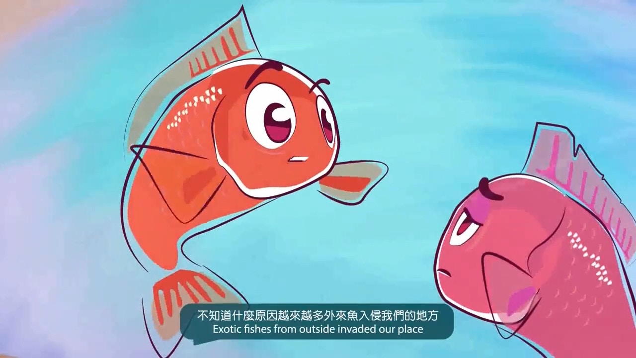 漁護署日前於其Facebook專頁發布動畫短片,呼籲市民放生前「停一停、諗一諗」。(漁護署fb片段截圖)