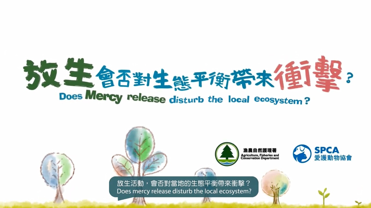 漁護署日前於其Facebook專頁發布動畫短片,呼籲市民放生前「停一停、諗一諗」。(漁護署fb片段截圖)