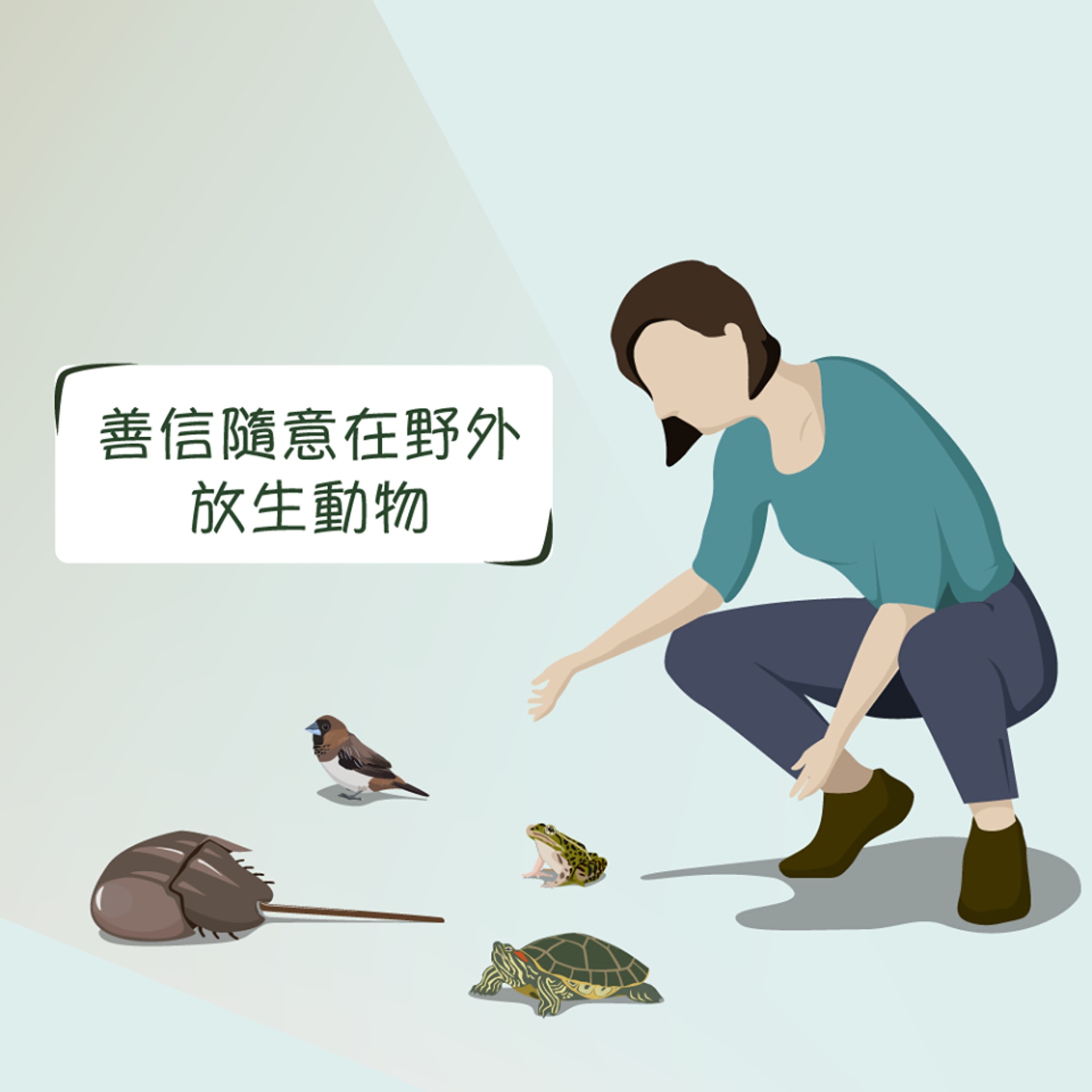 關注香港自然生態的網站「綠洲 Oasistrek」，在facebook專頁發佈10張自創插畫，解釋放生的壞影響。（漁農自然護理署圖片）