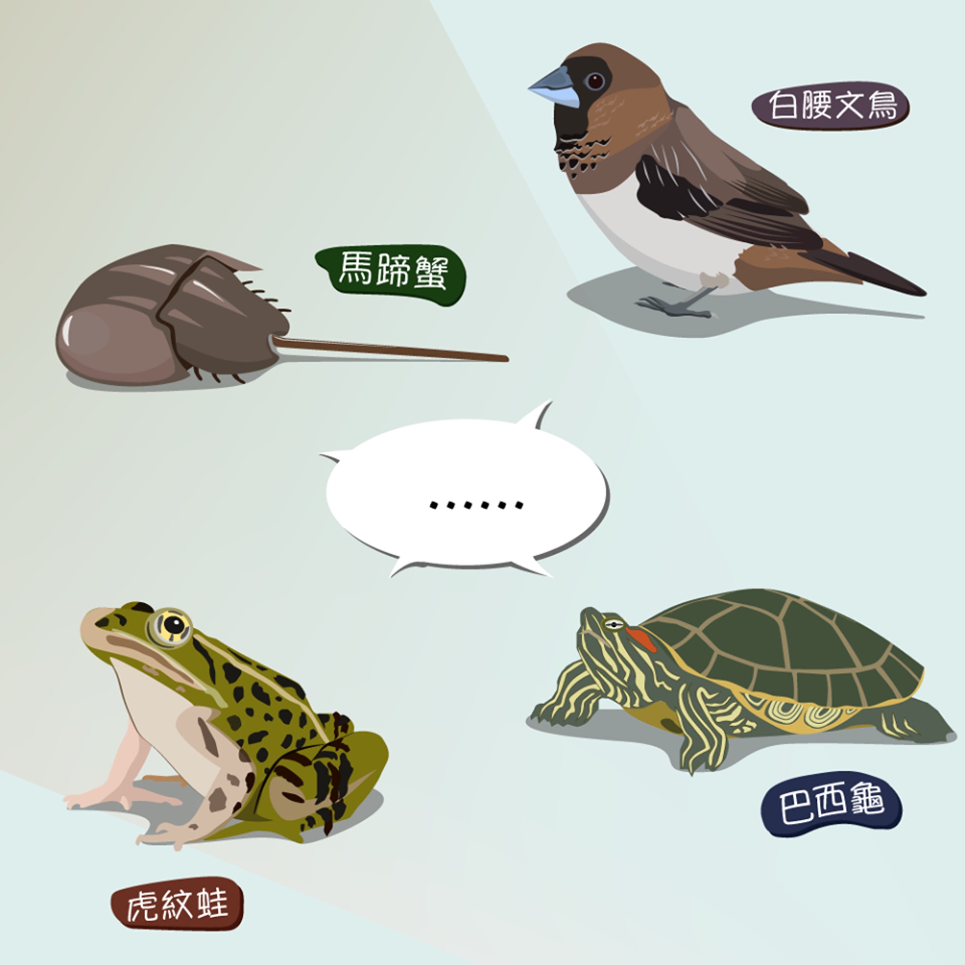 關注香港自然生態的網站「綠洲 Oasistrek」,在facebook專頁發佈10張自創插畫,解釋放生的壞影響。(漁農自然護理署圖片)