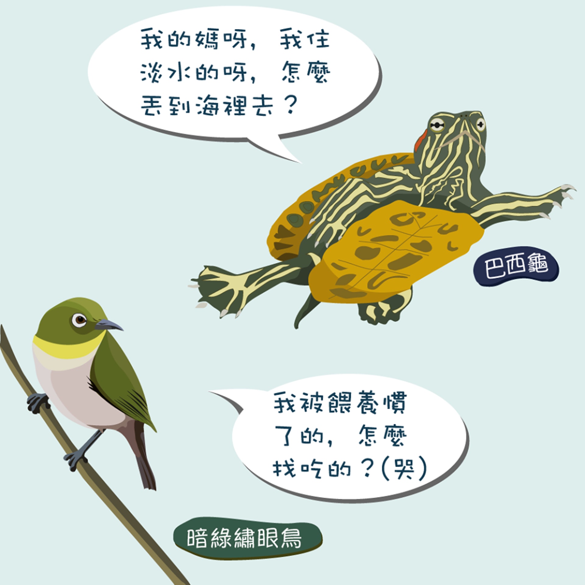 被放生的動物沒有謀生能力,被放生後亦是死路一條。(漁農自然護理署圖片)