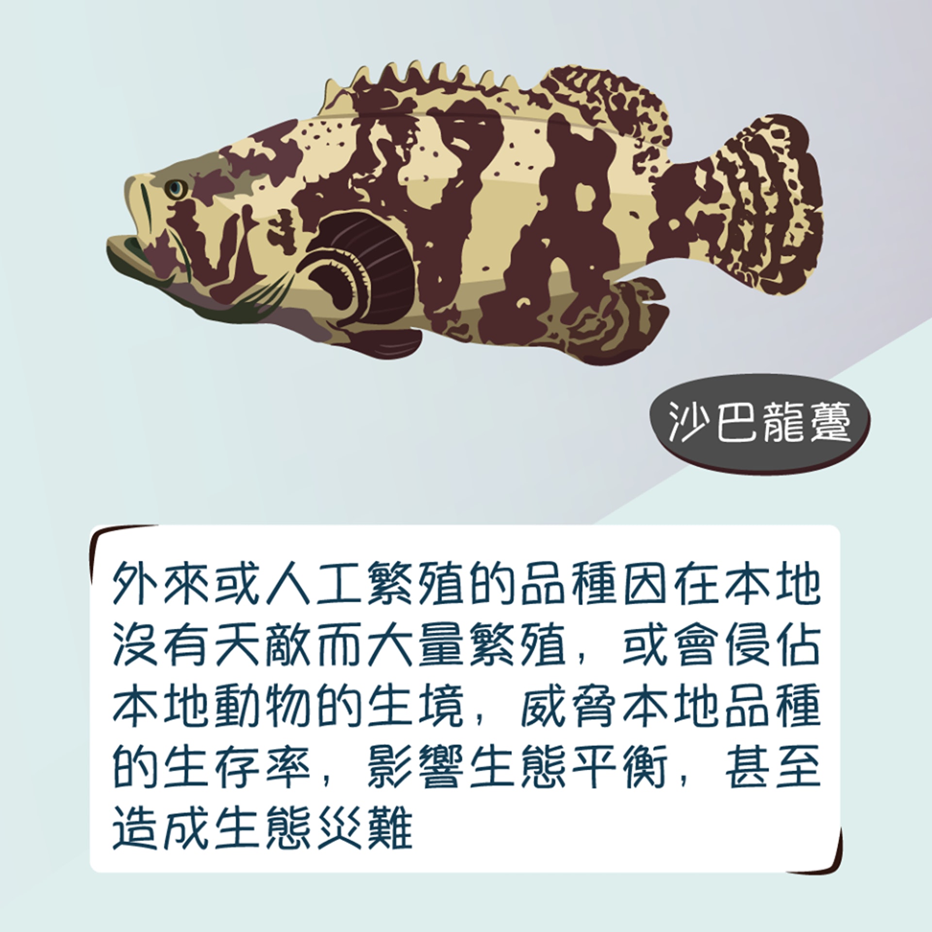 被放生的動物會因未能適應環境、疾病而死亡。(漁農自然護理署圖片)