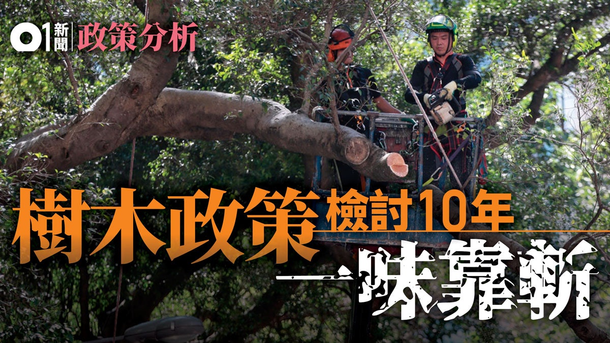 【政策分析】前人種樹後人斬樹 政府視樹木保育為何物? 【政策分析】前人種樹後人斬樹 政府視樹木保育為何物?