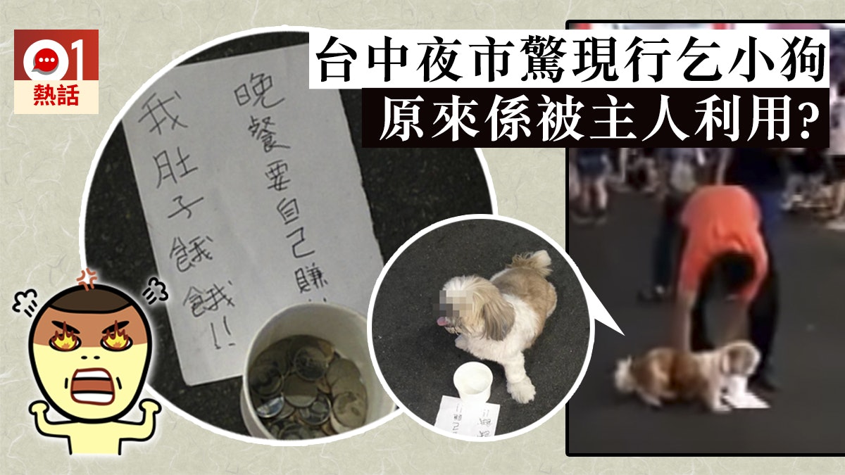 台中夜市檔主讓狗狗行乞錢兜裝滿就收走網民批 跟虐兒沒分別 香港01 熱爆話題 台中夜市檔主讓狗狗行乞錢兜裝滿就收走網民批 跟虐兒沒分別 香港01 熱爆話題