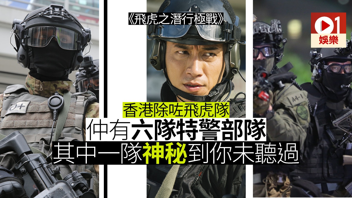 香港警察特殊部隊SDU写真集「飛虎群雄」 | nate-hospital.com