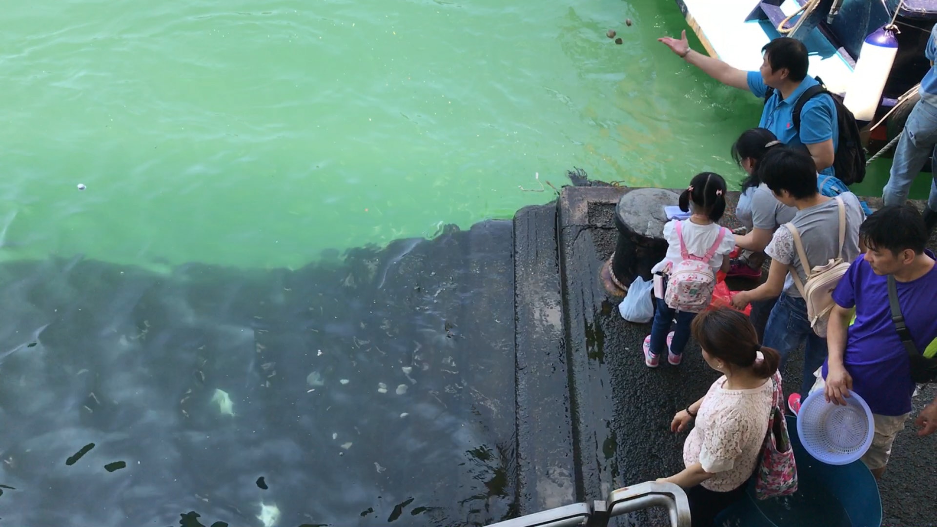 有善信將貝殼「仙女散花」,拋出大海。(梁煥敏攝)