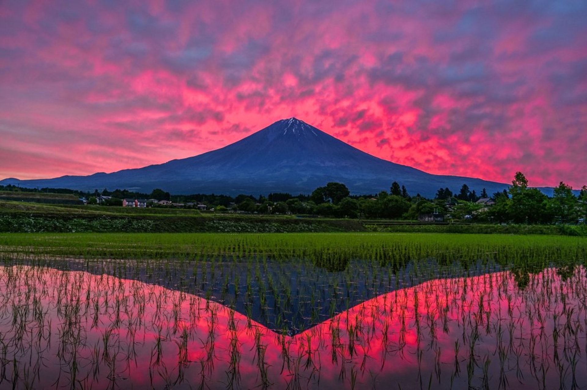 異世界 富士山照驚豔網民日攝影師 望表達土生土長的愛 香港01 熱爆話題 異世界 富士山照驚豔網民日攝影師 望表達土生土長的愛 香港01 熱爆話題