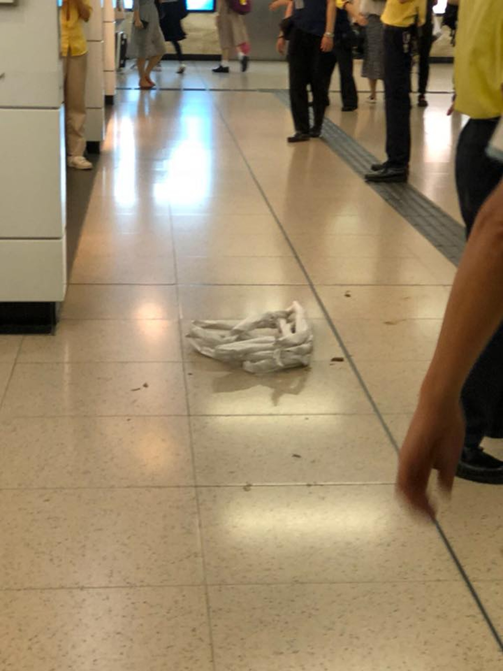 有網民指見到老鼠事小,自己曾在沙田站見到「人大便」,「成個大堂瀰漫着屎味」。(fb群組「香港花生友」圖片) 有網民指見到老鼠事小,自己曾在沙田站見到「人大便」,「成個大堂瀰漫着屎味」。(fb群組「香港花生友」圖片)