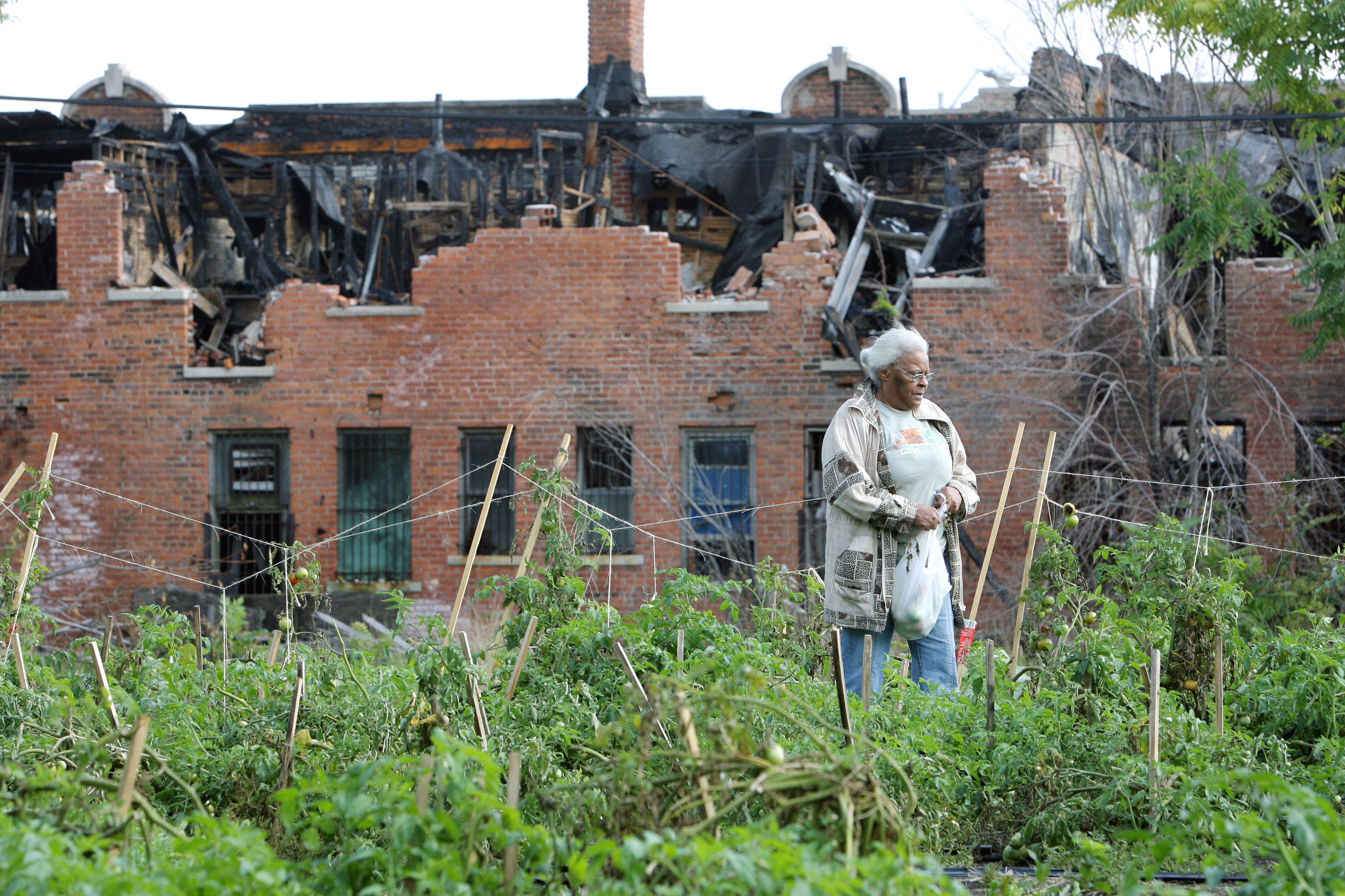 全球驚嘆：底特律卸汽車包袱重生小農社會抬頭後園養雞成潮流
