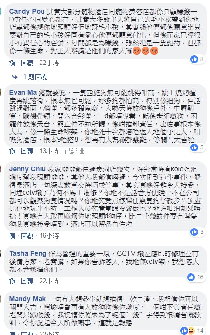 網民就事件發表意見。(截圖)